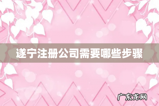 遂宁注册公司需要哪些步骤