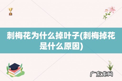 刺梅掉花是什么原因 刺梅花为什么掉叶子