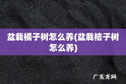 盆栽桔子树怎么养 盆栽橘子树怎么养