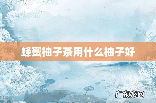 蜂蜜柚子茶用什么柚子好