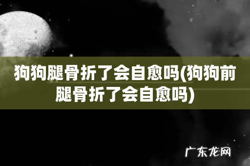 狗狗前腿骨折了会自愈吗 狗狗腿骨折了会自愈吗