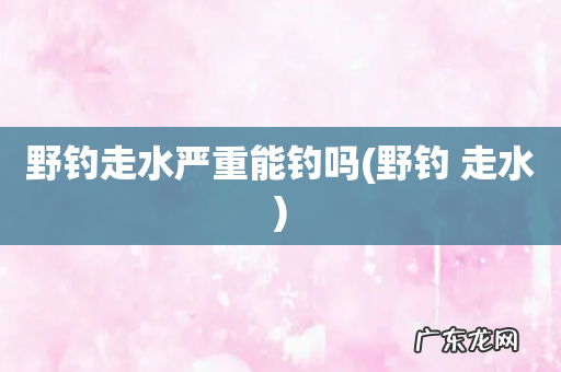 野钓 走水 野钓走水严重能钓吗