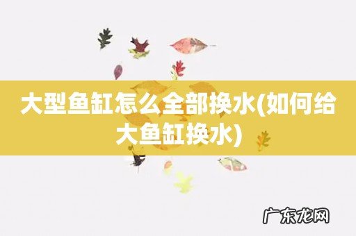 如何给大鱼缸换水 大型鱼缸怎么全部换水