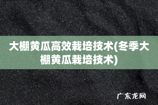 冬季大棚黄瓜栽培技术 大棚黄瓜高效栽培技术