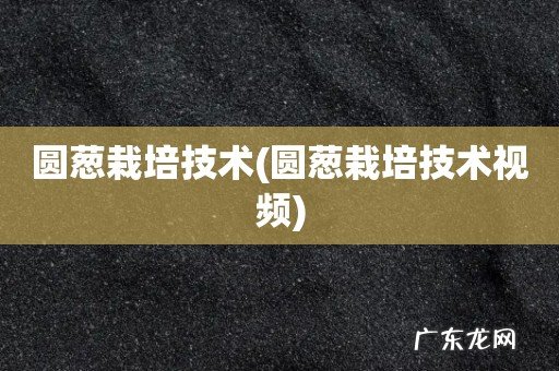 圆葱栽培技术视频 圆葱栽培技术