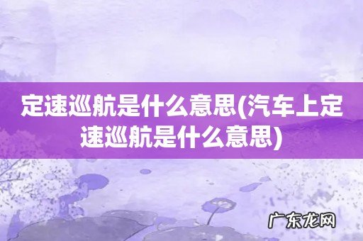 汽车上定速巡航是什么意思 定速巡航是什么意思