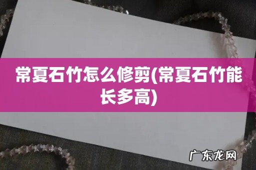 常夏石竹能长多高 常夏石竹怎么修剪