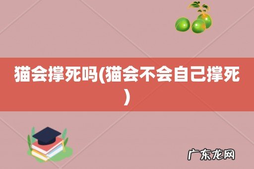 猫会不会自己撑死 猫会撑死吗