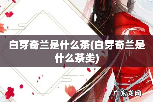 白芽奇兰是什么茶类 白芽奇兰是什么茶