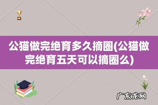 公猫做完绝育五天可以摘圈么 公猫做完绝育多久摘圈