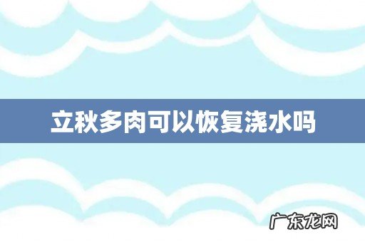 立秋多肉可以恢复浇水吗