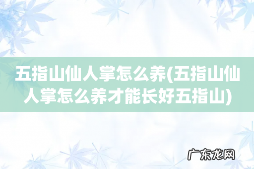 五指山仙人掌怎么养才能长好五指山 五指山仙人掌怎么养