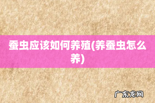 养蚕虫怎么养 蚕虫应该如何养殖