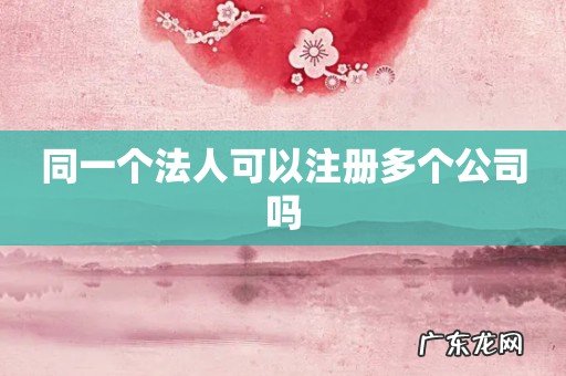 同一个法人可以注册多个公司吗