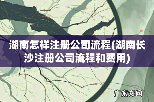 湖南长沙注册公司流程和费用 湖南怎样注册公司流程