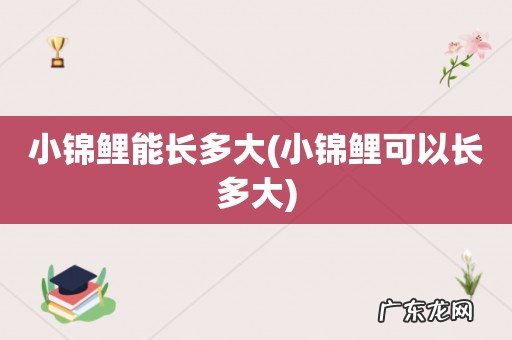小锦鲤可以长多大 小锦鲤能长多大
