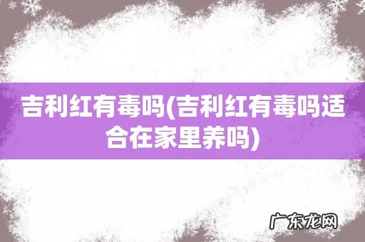 吉利红有毒吗适合在家里养吗 吉利红有毒吗
