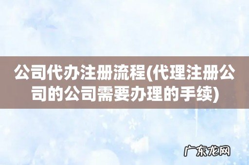 代理注册公司的公司需要办理的手续 公司代办注册流程