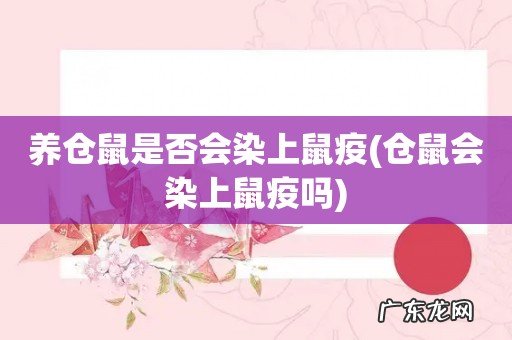 仓鼠会染上鼠疫吗 养仓鼠是否会染上鼠疫