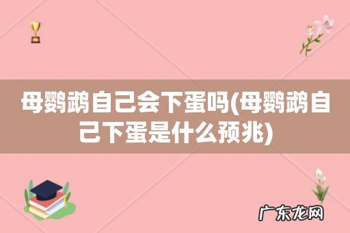 母鹦鹉自己下蛋是什么预兆 母鹦鹉自己会下蛋吗