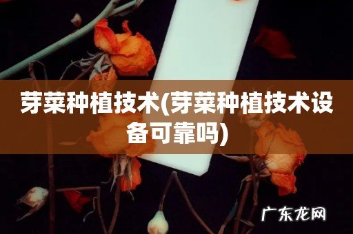 芽菜种植技术设备可靠吗 芽菜种植技术