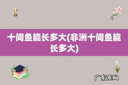 非洲十间鱼能长多大 十间鱼能长多大