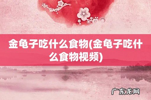 金龟子吃什么食物视频 金龟子吃什么食物