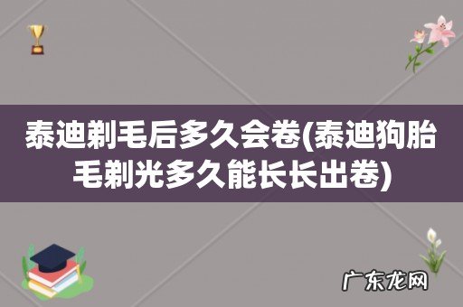泰迪狗胎毛剃光多久能长长出卷 泰迪剃毛后多久会卷