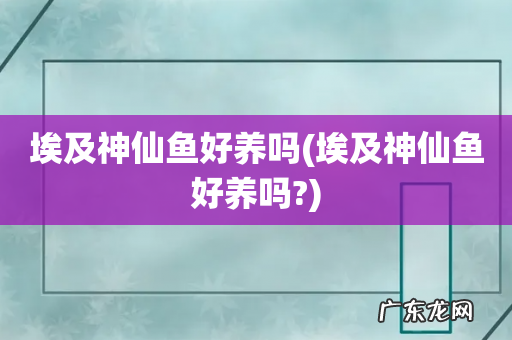 埃及神仙鱼好养吗? 埃及神仙鱼好养吗
