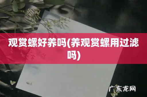 养观赏螺用过滤吗 观赏螺好养吗