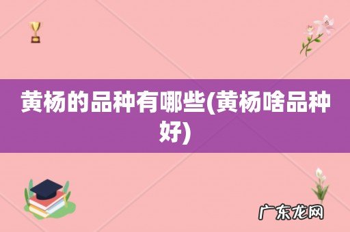 黄杨啥品种好 黄杨的品种有哪些