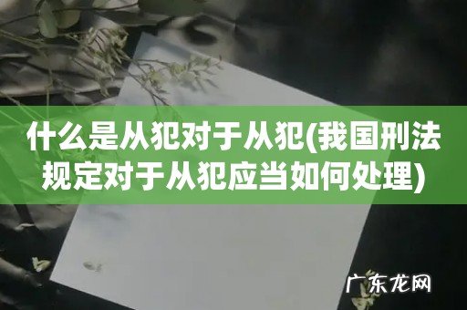 我国刑法规定对于从犯应当如何处理 什么是从犯对于从犯