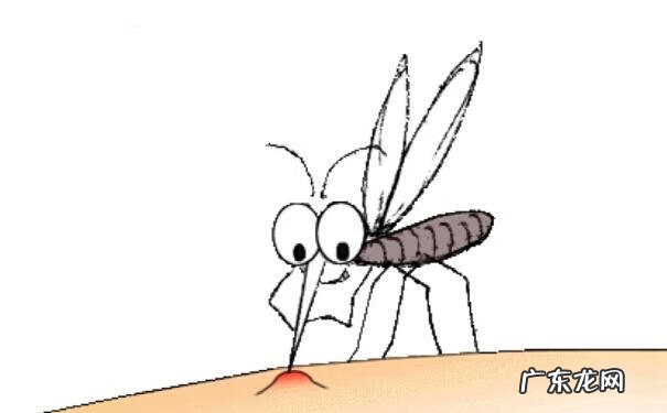 被蚊子咬了很多包怎么止痒 蚊子包怎么快速消肿止痒最快