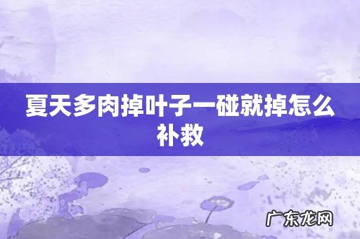 夏天多肉掉叶子一碰就掉怎么补救