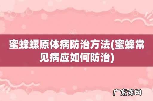 蜜蜂常见病应如何防治 蜜蜂螺原体病防治方法