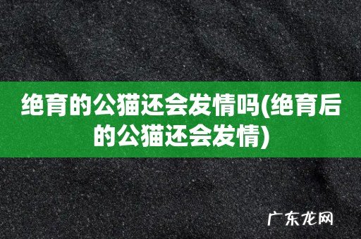 绝育后的公猫还会发情 绝育的公猫还会发情吗