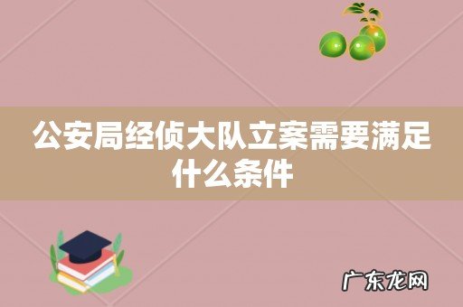 公安局经侦大队立案需要满足什么条件