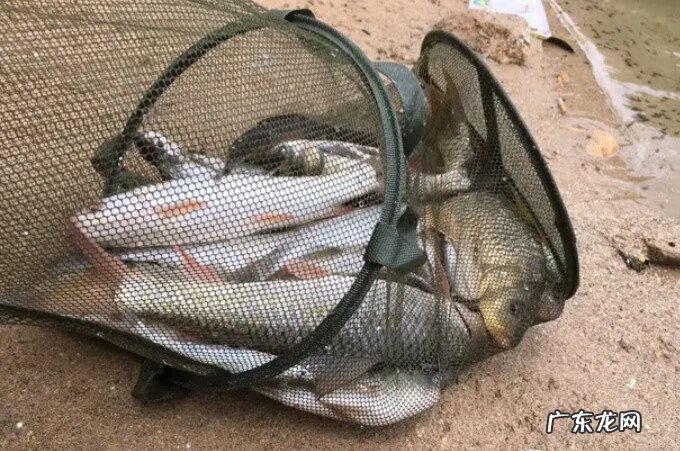 无极之水什么意思 风水有风无水