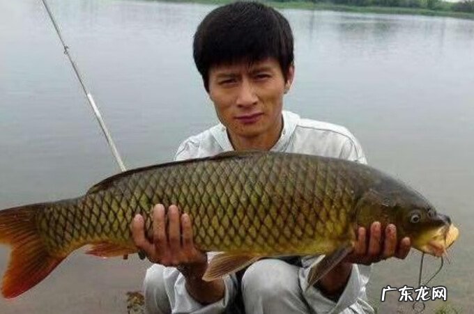 无极之水什么意思 风水有风无水