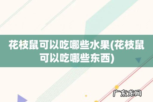 花枝鼠可以吃哪些东西 花枝鼠可以吃哪些水果
