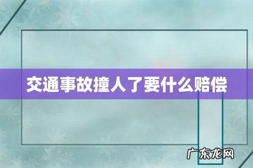 交通事故撞人了要什么赔偿