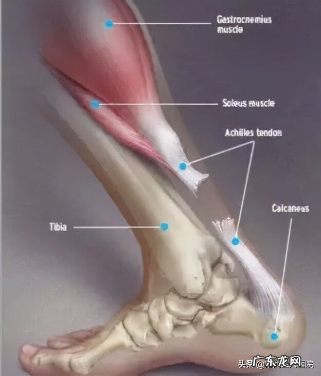 鬼影镰刀脚 镰刀割到脚怎么处理