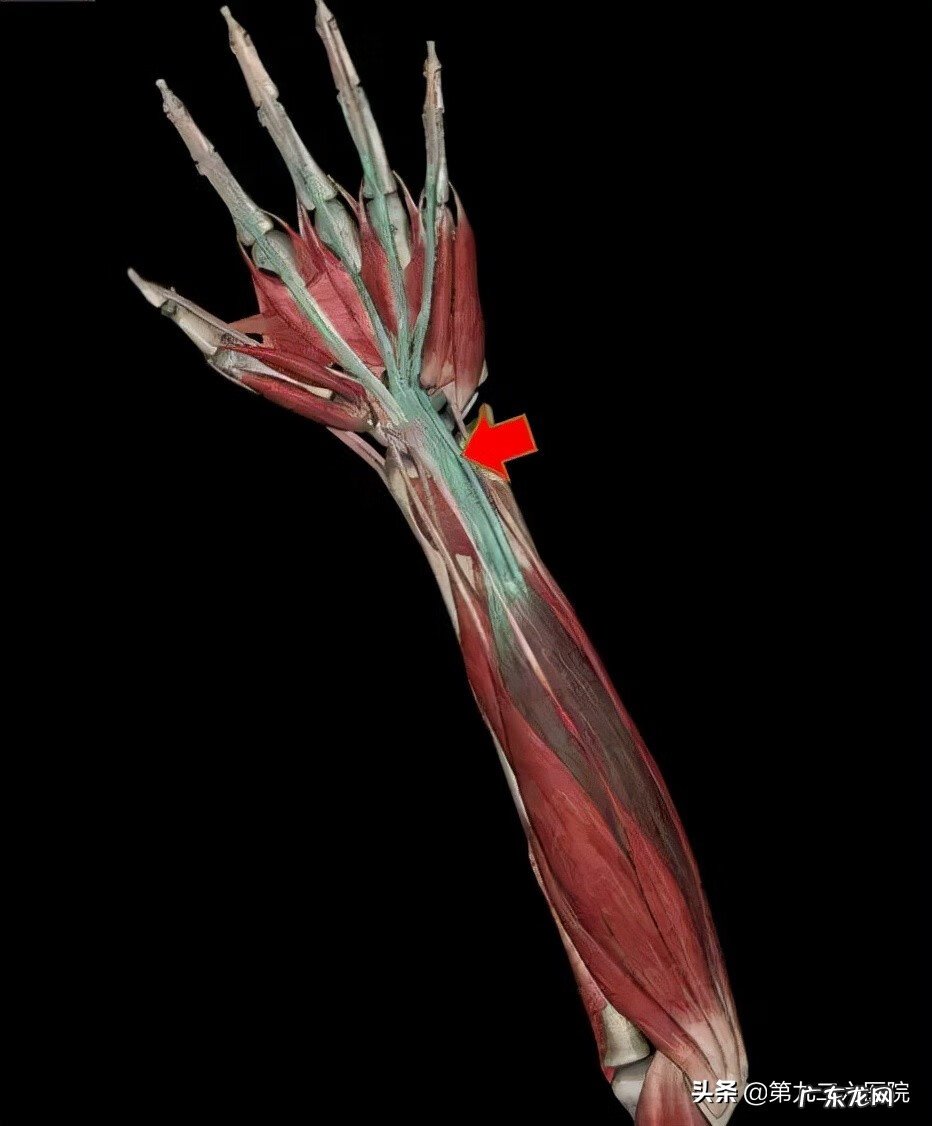 鬼影镰刀脚 镰刀割到脚怎么处理