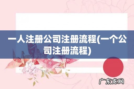 一个公司注册流程 一人注册公司注册流程