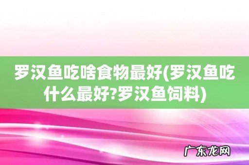 罗汉鱼吃什么最好?罗汉鱼饲料 罗汉鱼吃啥食物最好