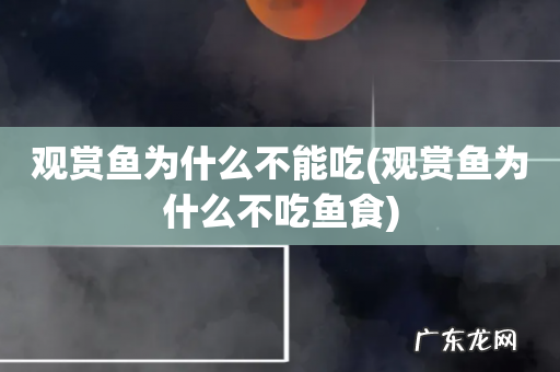 观赏鱼为什么不吃鱼食 观赏鱼为什么不能吃