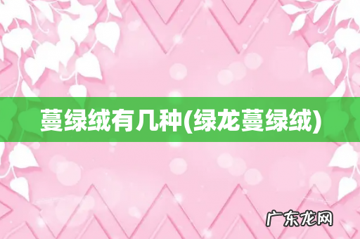 绿龙蔓绿绒 蔓绿绒有几种