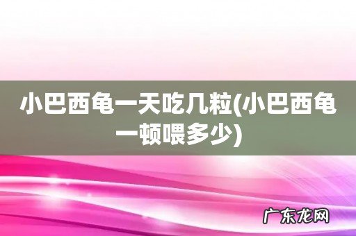 小巴西龟一顿喂多少 小巴西龟一天吃几粒