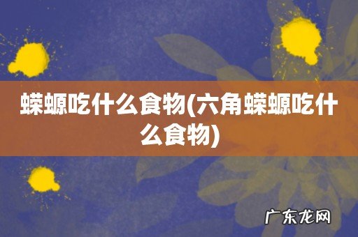 六角蝾螈吃什么食物 蝾螈吃什么食物