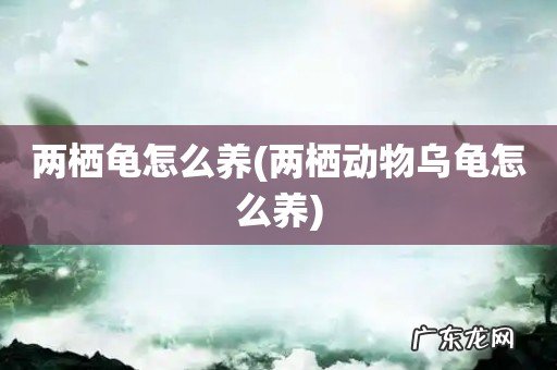 两栖动物乌龟怎么养 两栖龟怎么养